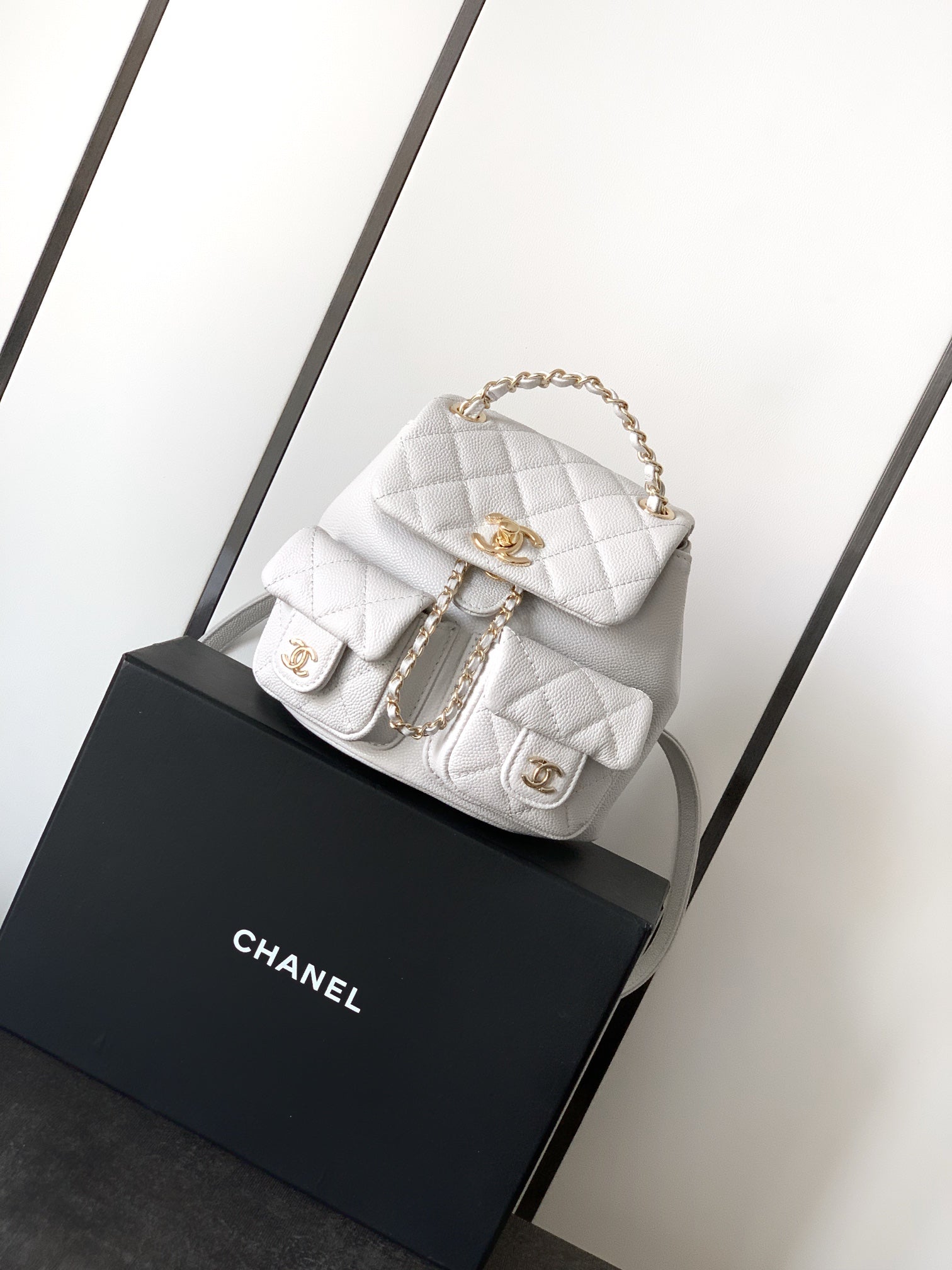 Legacy of Style: Chanel Unisex Edition Bag