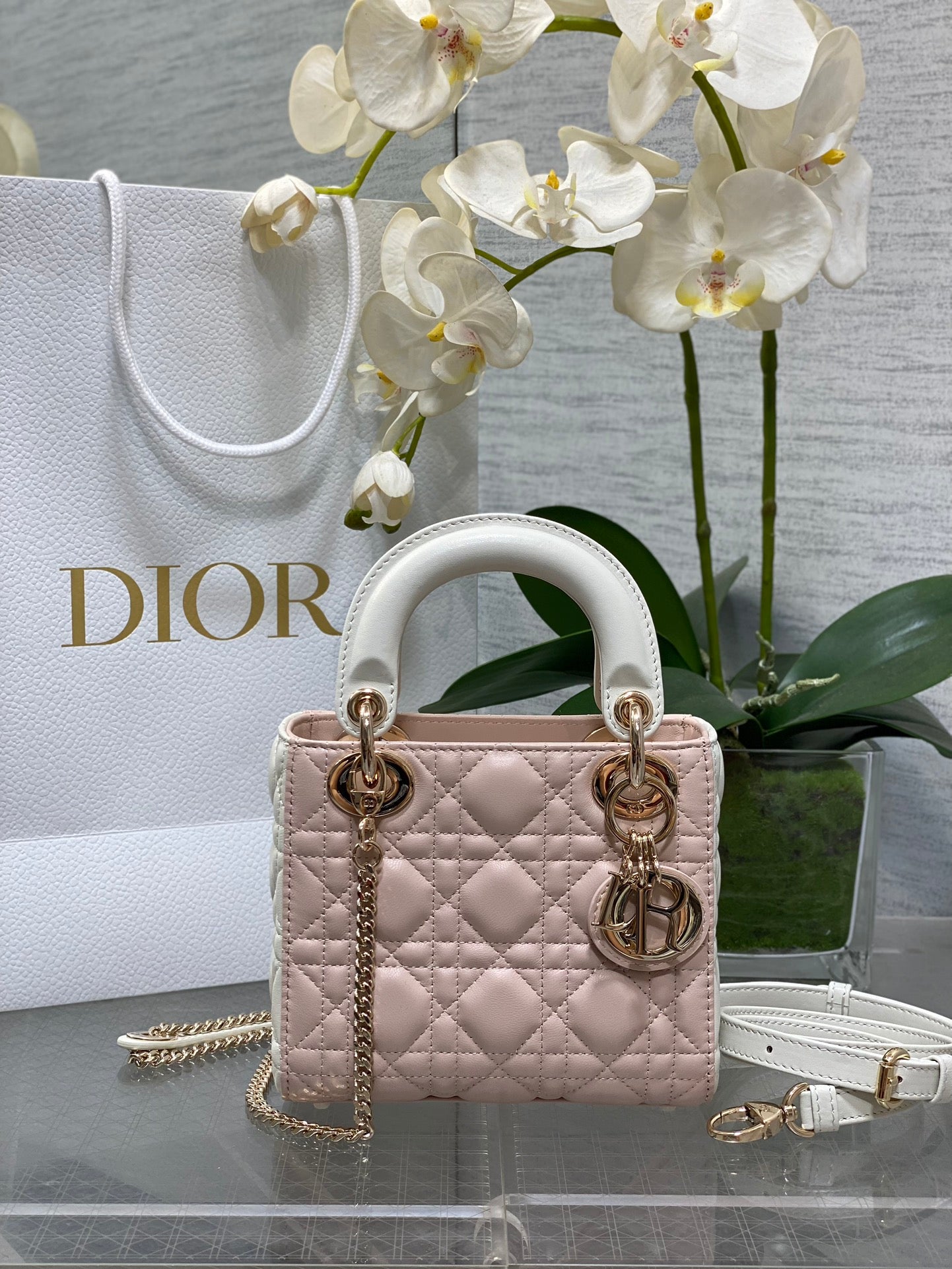 Dior Statement Piece: Unisex Fashion Bag